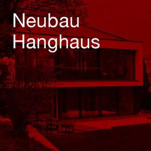 Neubau Architektenhaus mit Öffnung zur Natur, Architektur Aschaffenburg / Rhein-Main